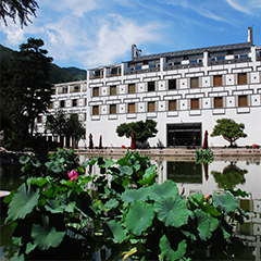 金沙(8087-js认证)娱场城-Officialwebsite